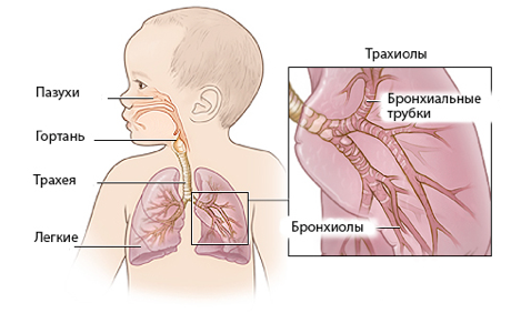 Кендра Люст пен Саманта Сент лесбияндық жыныстық қатынасқа түседі