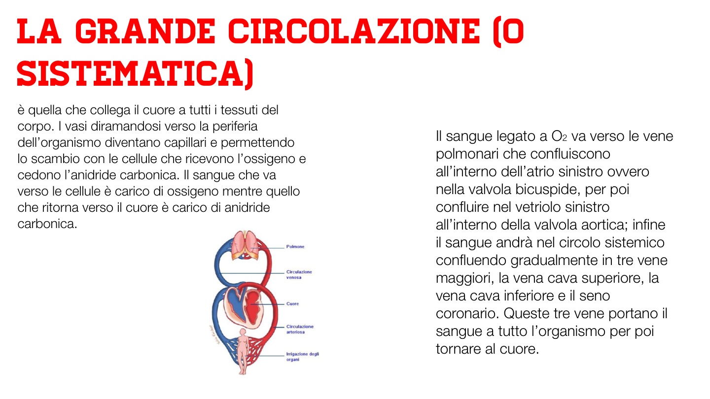 Aneurisma dell'aorta: cause, sintomi e pericoli - Valori Normali, image size:1440x810