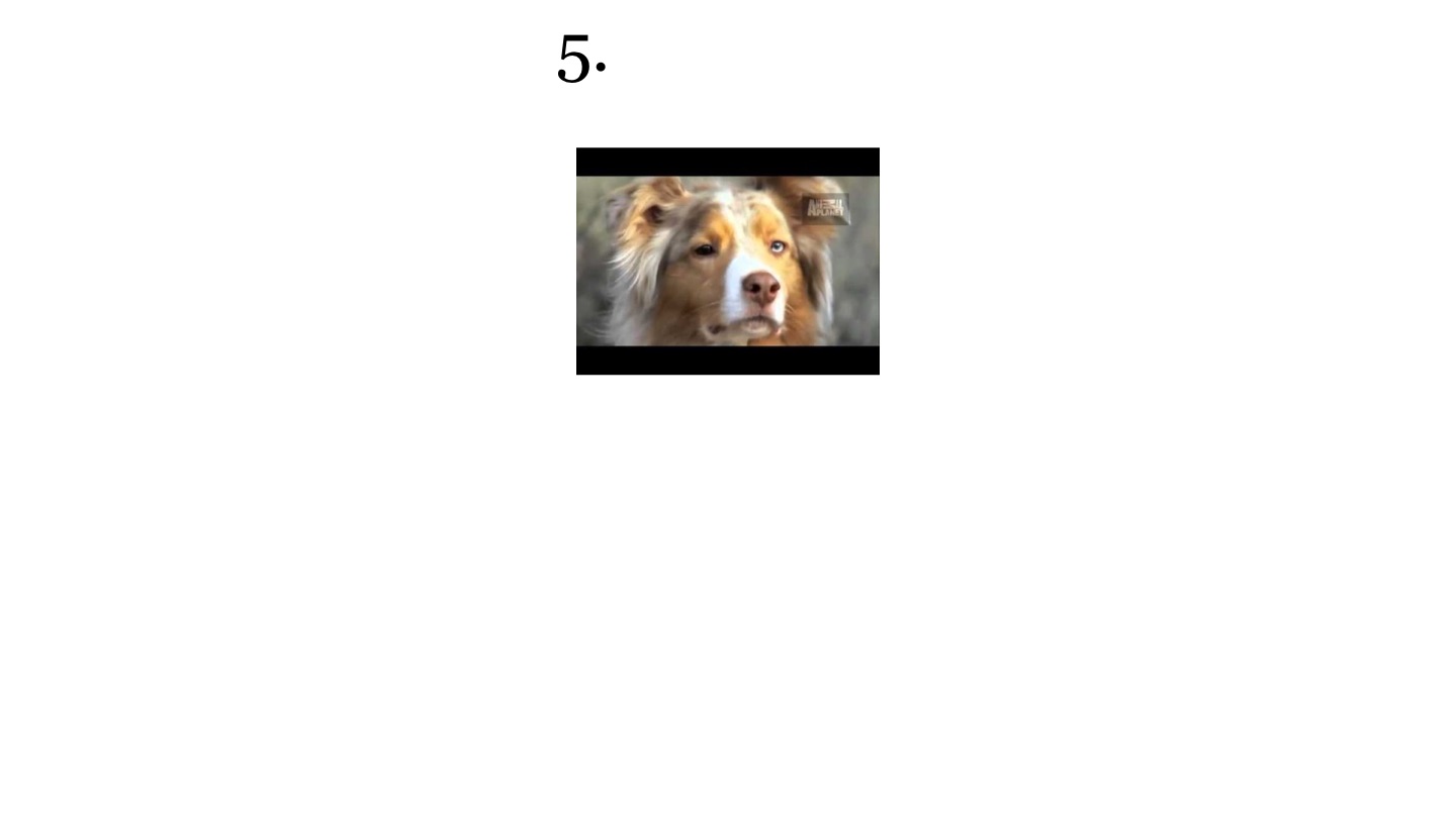 Untitled - Screen 6 on FlowVella - Presentation Software for Mac iPad ...