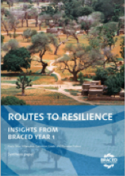 PDF Preview