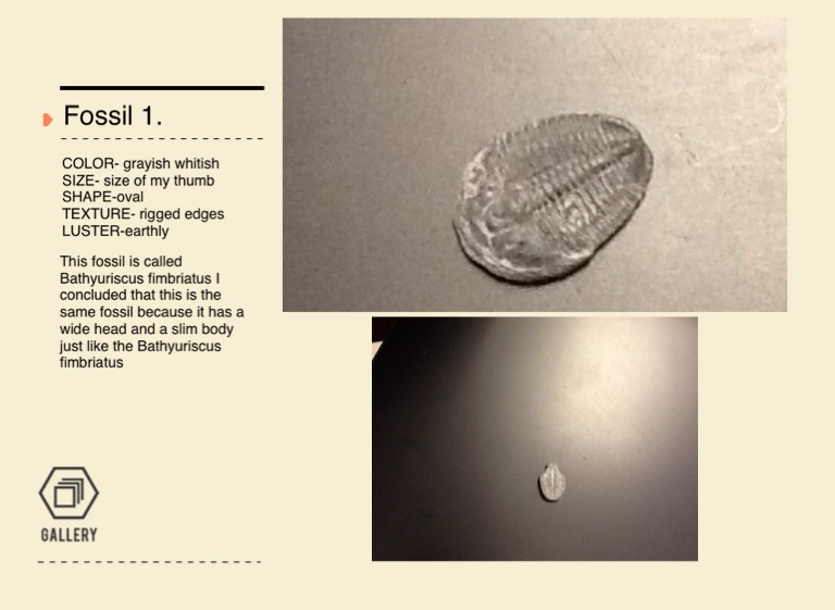 Portfolio - Screen 2 on FlowVella - Presentation Software for Mac iPad ...