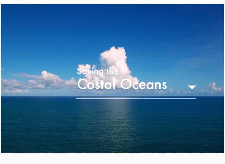 Case Studies on FlowVella - Presentation Software for Mac iPad and iPhone