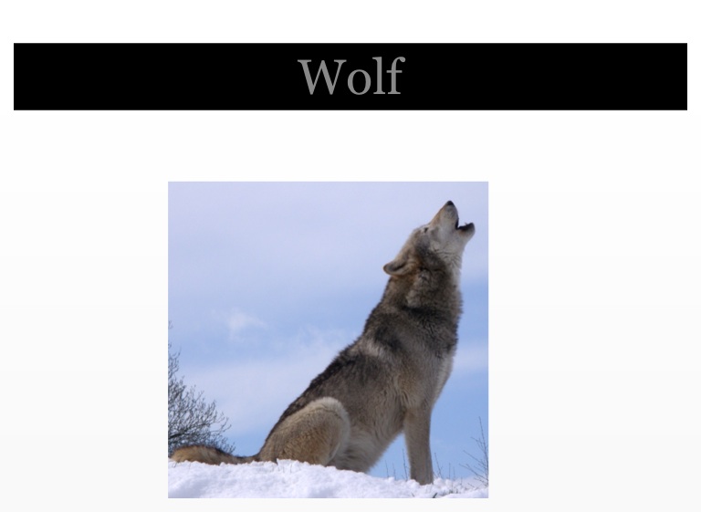 Wolf Collins on FlowVella - Presentation Software for Mac iPad and iPhone