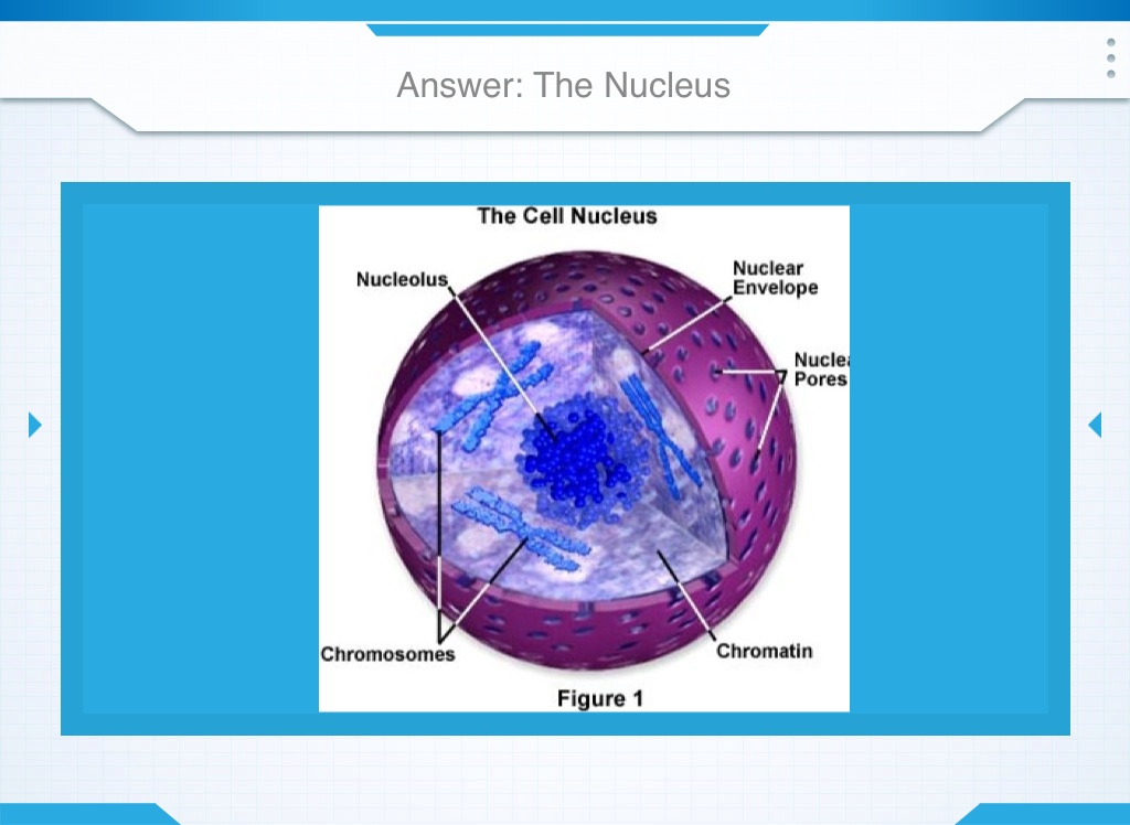 Keystone Review presentation - Screen 8 on FlowVella - Presentation ...