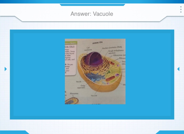 Keystone Review presentation - Screen 12 on FlowVella - Presentation ...