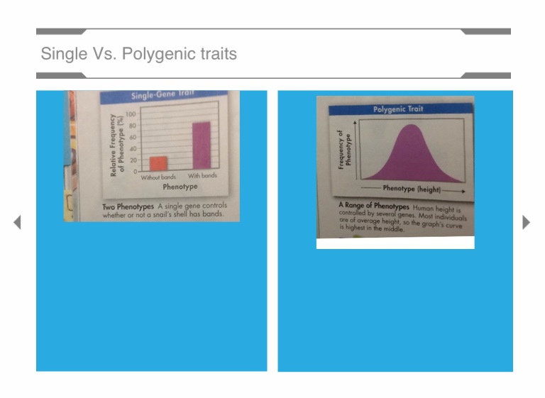 Chpt.17 evolution of population - Screen 4 on FlowVella - Presentation ...