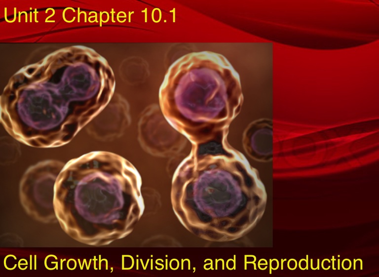 Keystone Review on FlowVella - Presentation Software for Mac iPad and ...