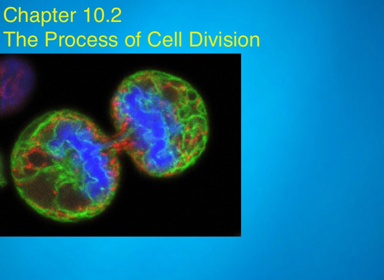 Keystone Review - Screen 8 on FlowVella - Presentation Software for Mac ...