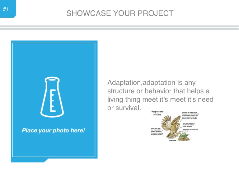 Untitled - Screen 3 on FlowVella - Presentation Software for Mac iPad ...