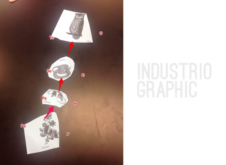 Untitled - Screen 6 on FlowVella - Presentation Software for Mac iPad ...