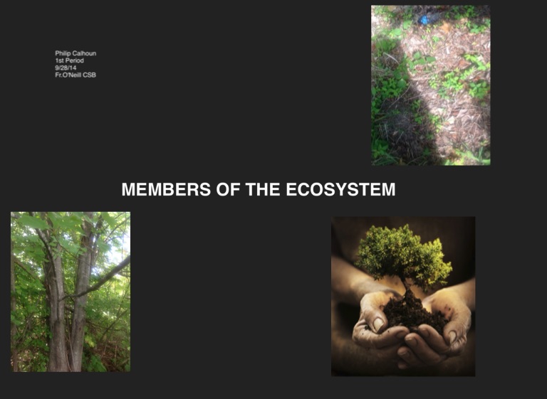 MEMBERS OF ECOSYSTEM on FlowVella - Presentation Software for Mac iPad ...