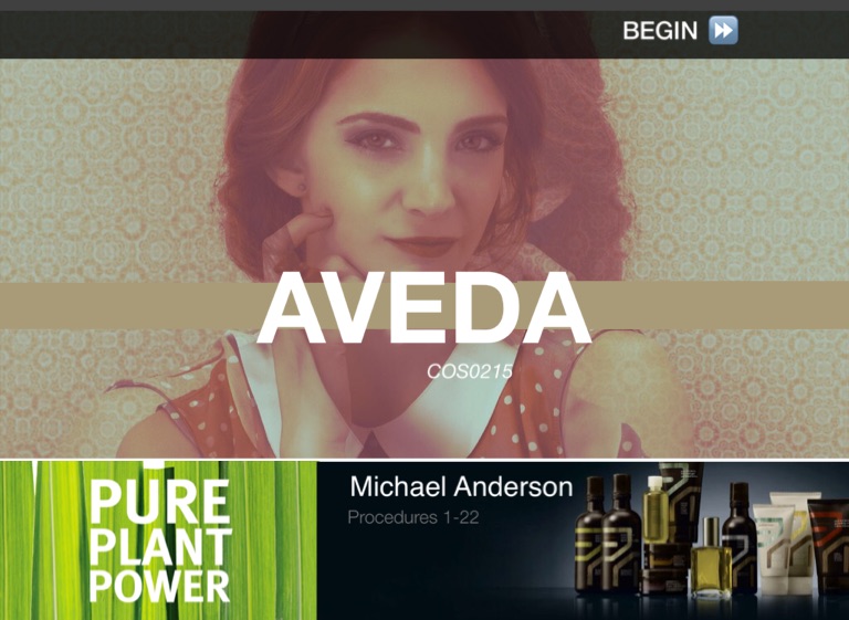 INTRO PROJECT 1 on FlowVella - Presentation Software for Mac iPad and ...