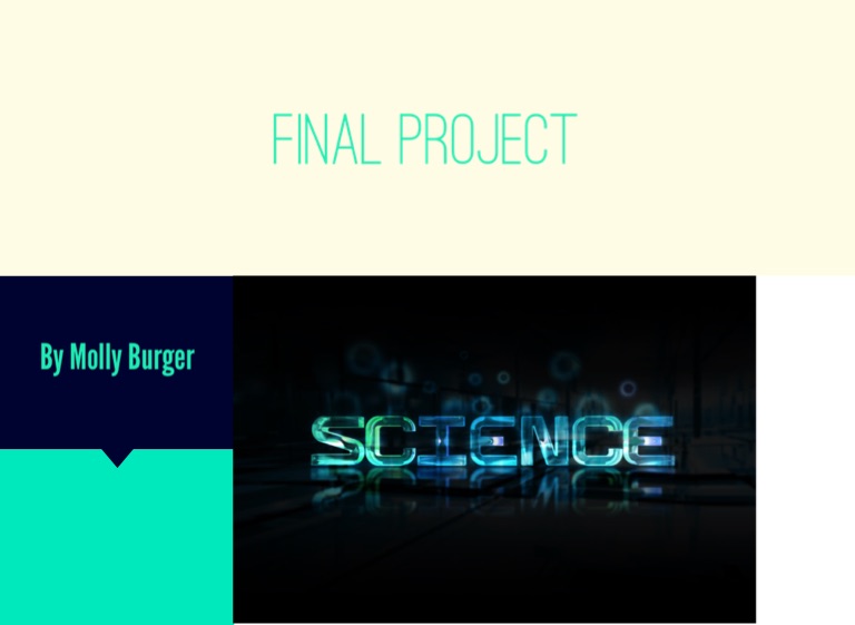 Final Project on FlowVella - Presentation Software for Mac iPad and iPhone