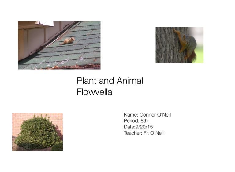 Flowvella Project on FlowVella - Presentation Software for Mac iPad and ...